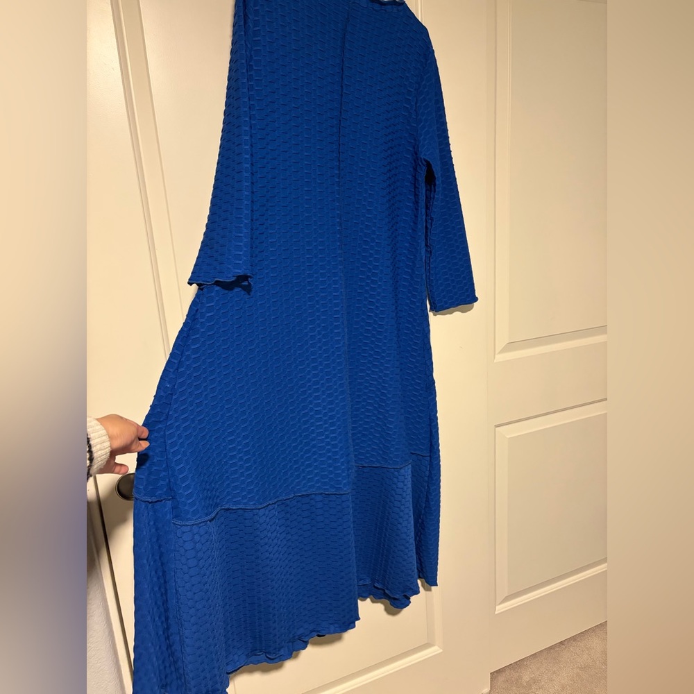 💙Zadie B’s Royal Blue Dress💙 - Picture 8 of 9